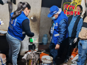 CAMAL CLANDESTINO SACRIFICABA BURROS Y CABALLOS EN TRUJILLO