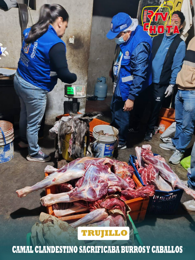 CAMAL CLANDESTINO SACRIFICABA BURROS Y CABALLOS EN TRUJILLO